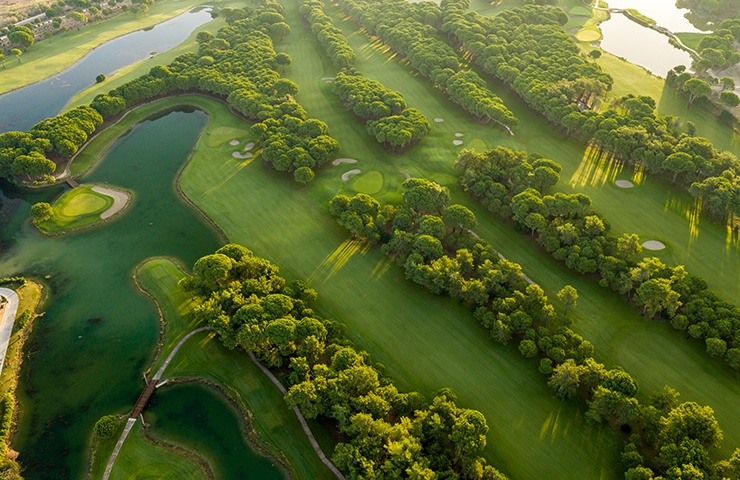 Golf Blog (5) (1)